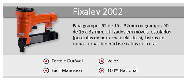 FIXALEV_2002